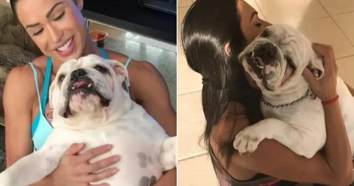 Cachorro de Gracyanne Barbosa morre e outro desaparece durante confinamento no BBB 25; Belo se pronuncia