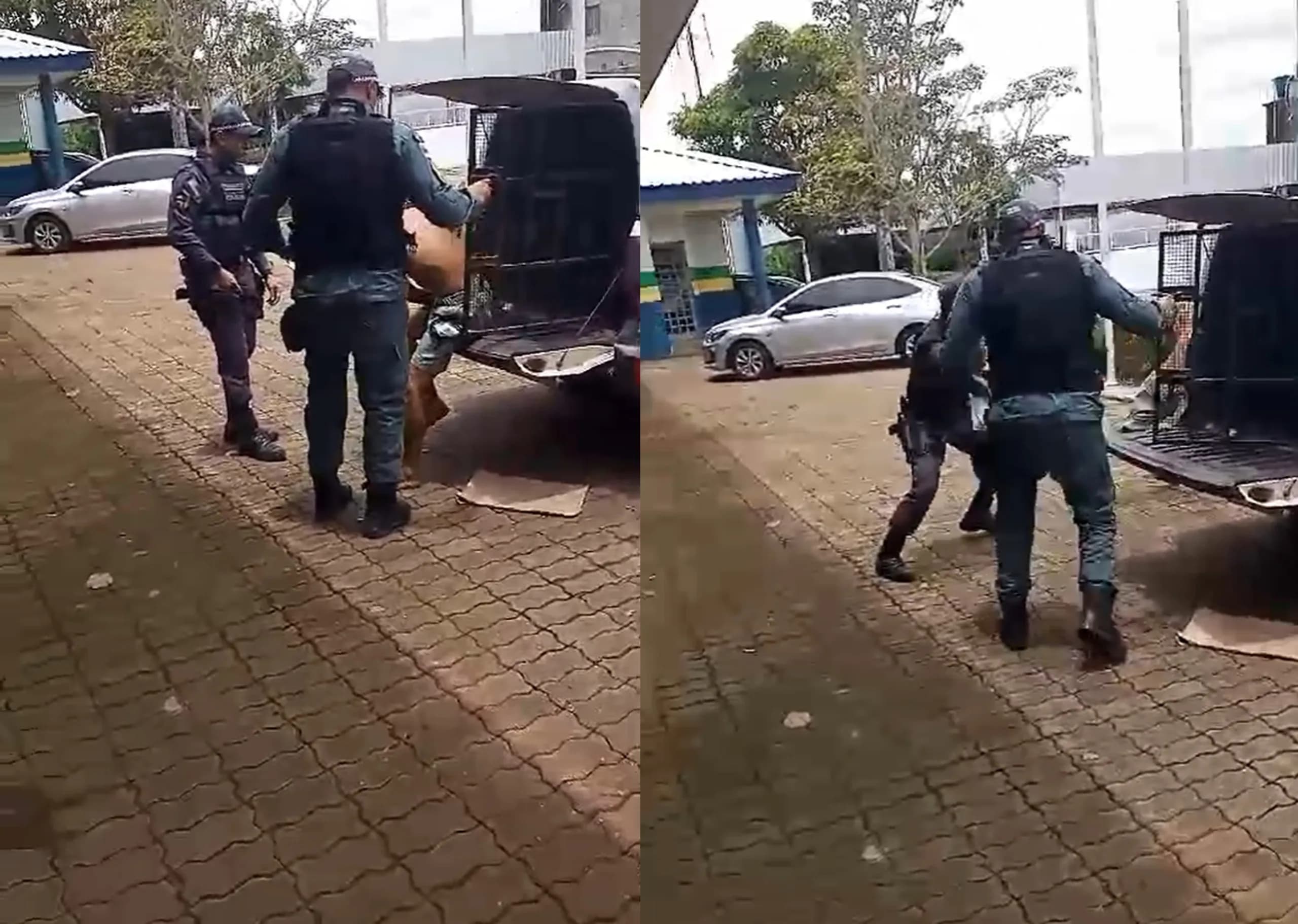 VÍDEO: Criminoso escapa da viatura e tenta fugir correndo em Manacapuru