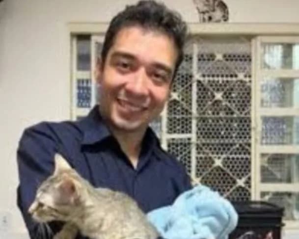 Crueldade: psicólogo é preso por fazer experimentos com 16 gatos
