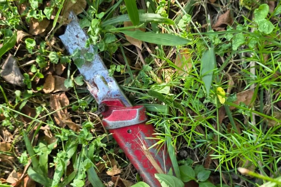 Homem em situação de rua é encontrado sem pênis e coração