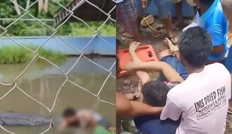 IMAGENS FORTES: Jovem é atacado por crocodilo após confundir animal com estátua em zoológico nas Filipinas