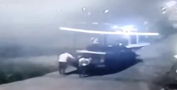 VÍDEO: Câmeras flagram abandono de oito cães na Zona Norte de Manaus