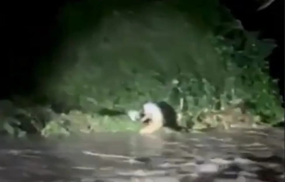 VÍDEO: motociclista é arrastado pela enxurrada e salvo por moradores em Manaus