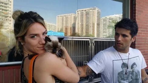 Gato fica preso em roda de carro de atriz e Corpo de Bombeiros do Rio de Janeiro é acionado