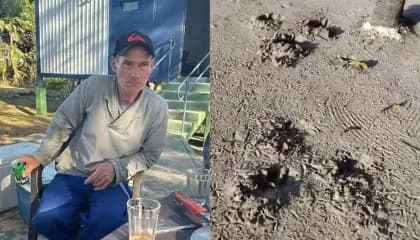 VÍDEO: Onça mata caseiro, devora o corpo e depois ataca socorrista no Pantanal