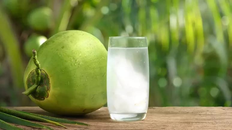 Água de coco: veja os benefícios de consumir a bebida na dieta