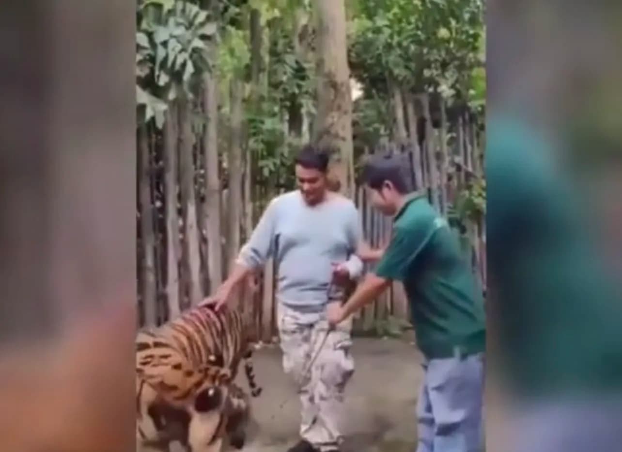 VÍDEO: Turista é atacado por tigre ao tentar tirar selfie na Tailândia