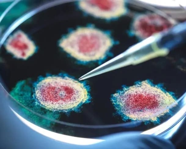 OMS monitora nova variante da covid-19; saiba quais os possíveis riscos