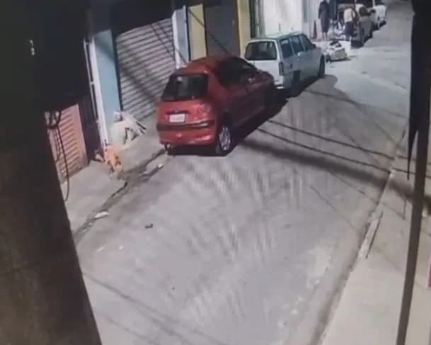 Veja momento em que homem se livra do corpo de ex-esposa após assassiná-la