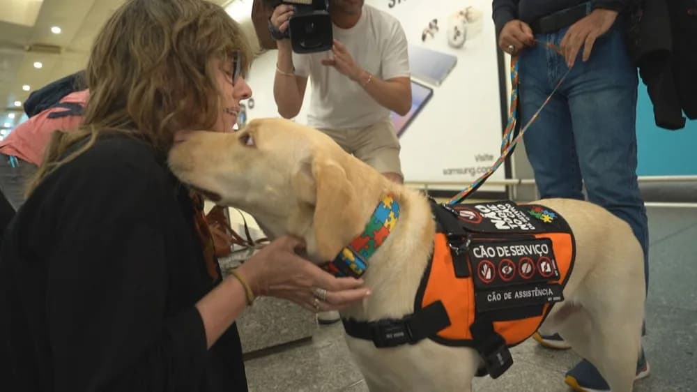 Teddy, cão de suporte, encontra menina autista em Portugal após 2 meses de impasses