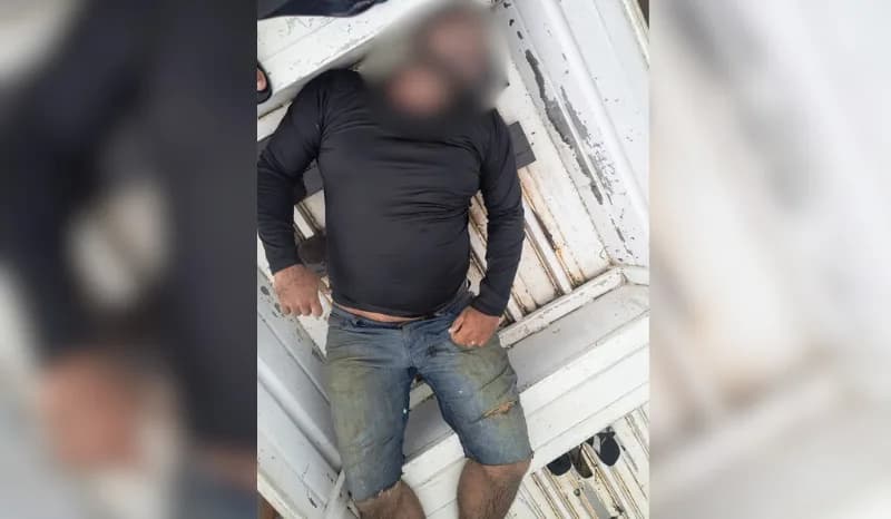 Homem morre após ataque de abelhas no Amazonas