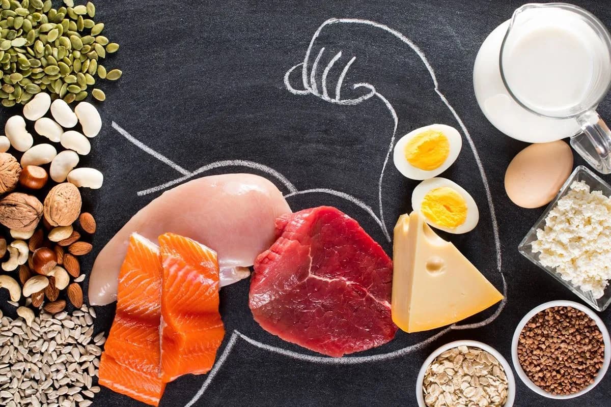 O que acontece com o corpo quando há o consumo excessivo de proteínas?