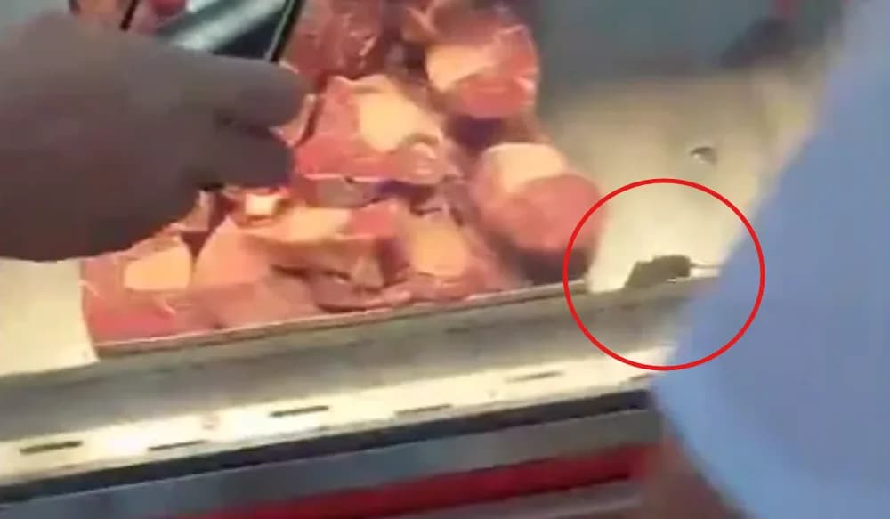 ‘Tempero’ indesejado: rato é filmado em meio às carnes em supermercado de Manaus