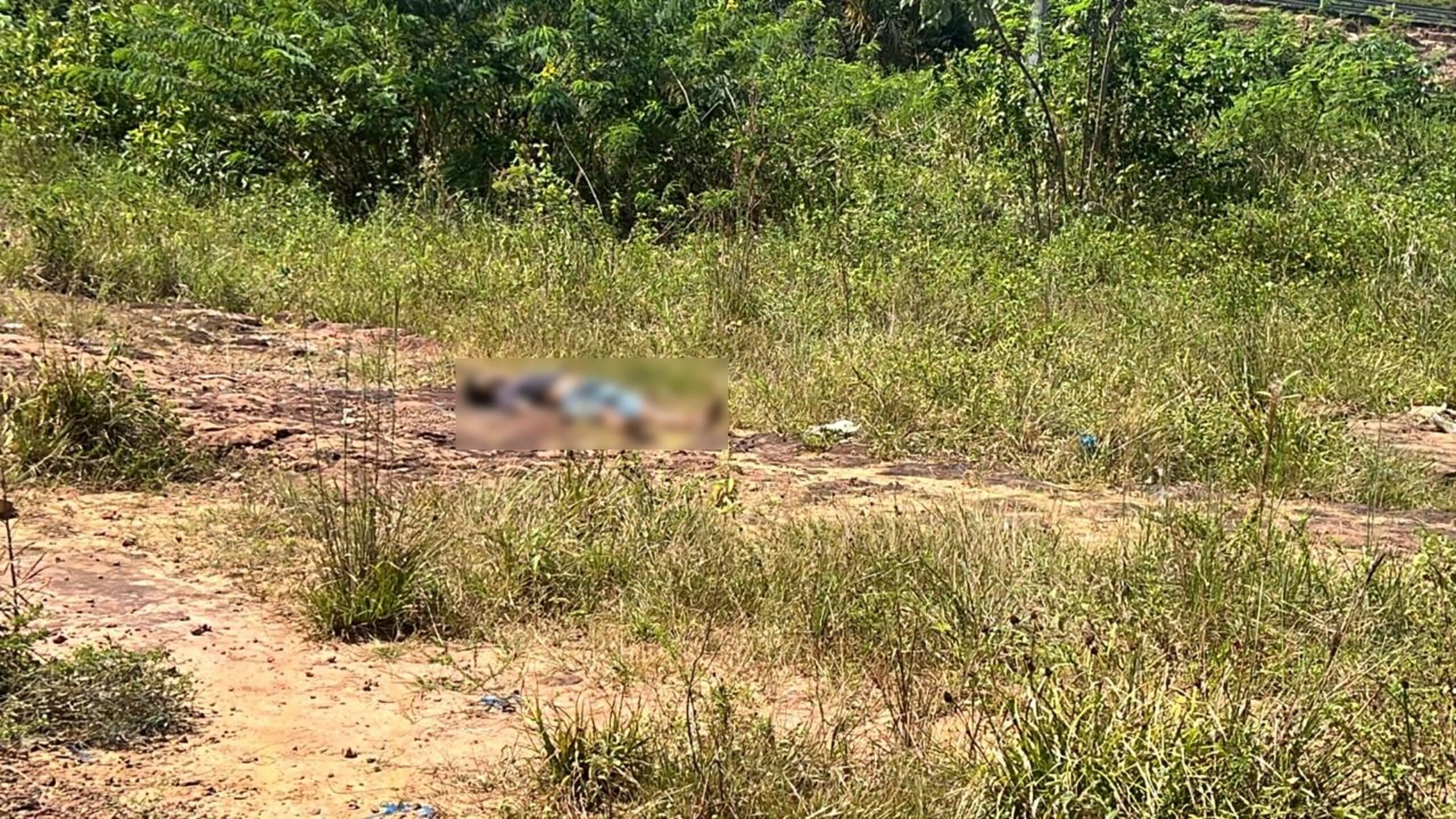 Corpo de homem é achado em área de mata na zona oeste de Manaus