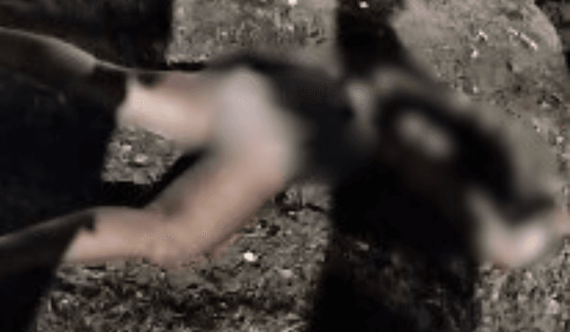 VÍDEO: Colisão entre motos deixa uma pessoa ferida, em Iranduba