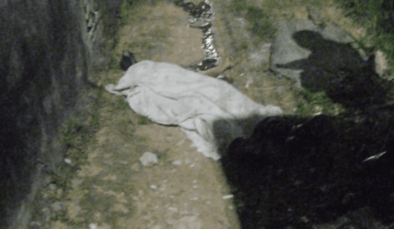 VÍDEO: Homem é encontrado morto com golpes de faca em Manaus