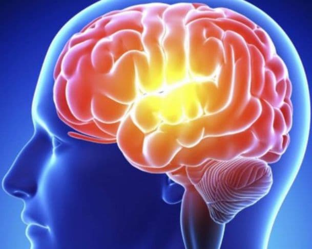 Estudo mostra que cérebro se reconfigura a partir dos 40 anos e pode resistir ao envelhecimento