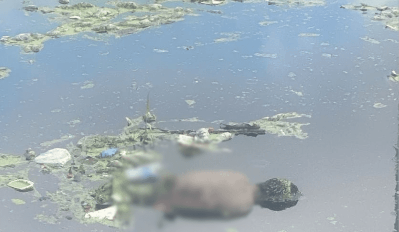 Moradores encontram corpo ‘boiando’ em igarapé de Manaus