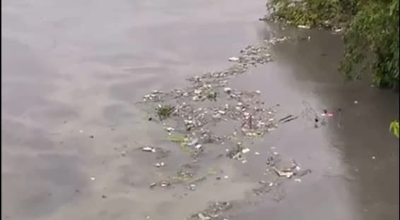 Vídeo mostra igarapés de Manaus cobertos de lixo e acende alerta sobre descaso ambiental