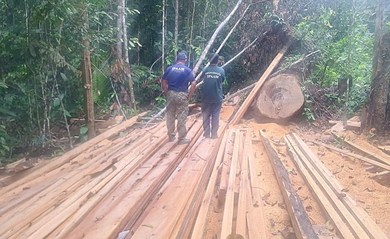 Ipaam aplica mais de R$ 740 mil em multas por crimes ambientais na região metropolitana de Manaus