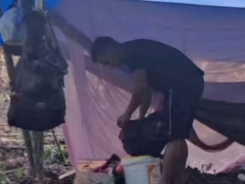 Trabalhador morre ao ser atingido por árvore durante atividade em mata em Manacapuru