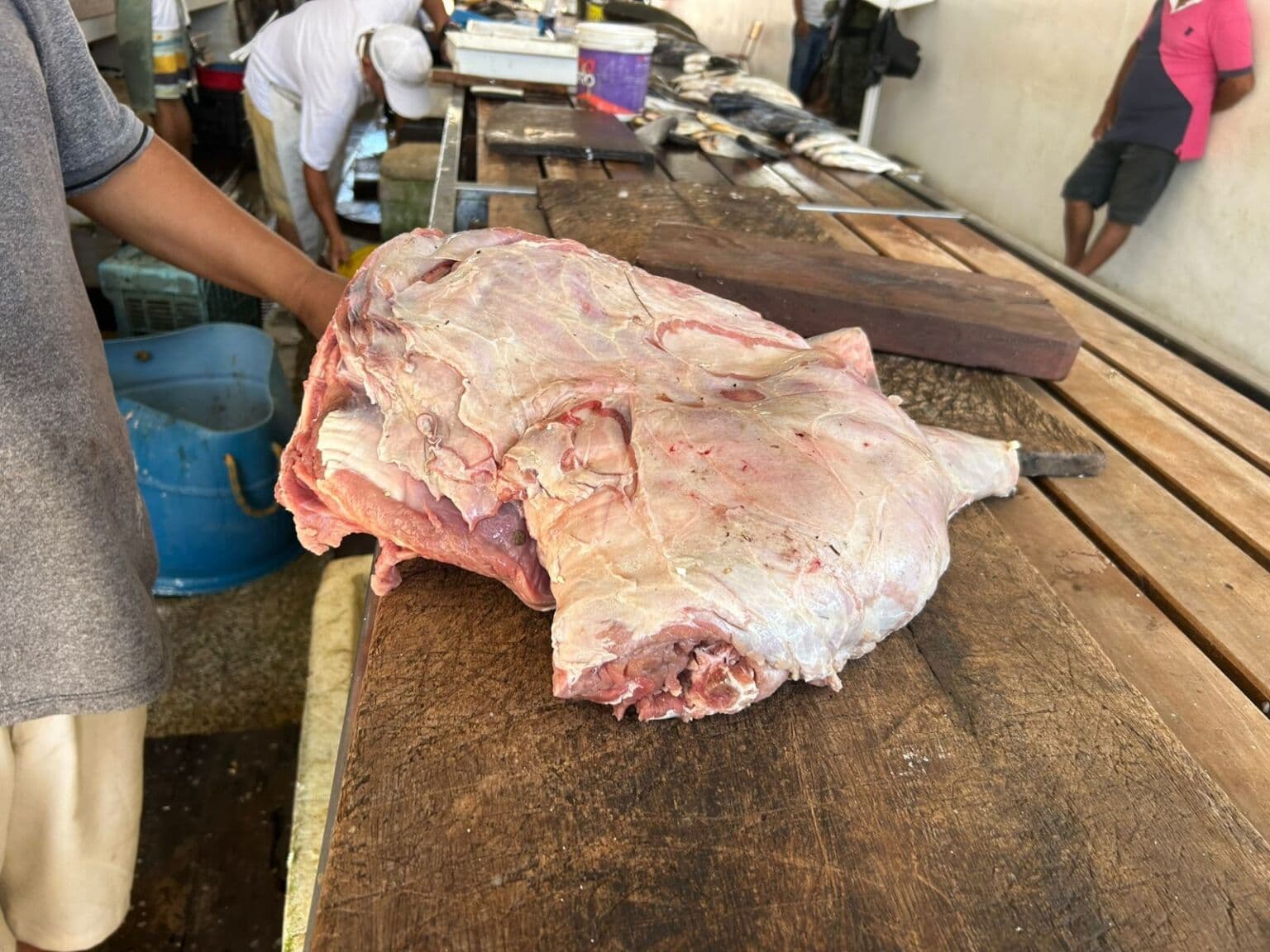 Carne de capivara é apreendida durante fiscalização ambiental no interior do AM