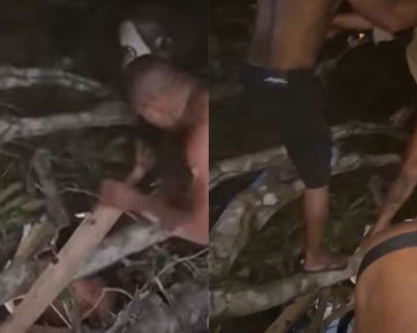 VÍDEO: Árvore cai sobre “Bar das Primas” durante temporal no Amazonas