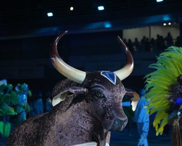 Boi Bumbá Brilhante é o campeão do Festival Folclórico do Amazonas de 2025