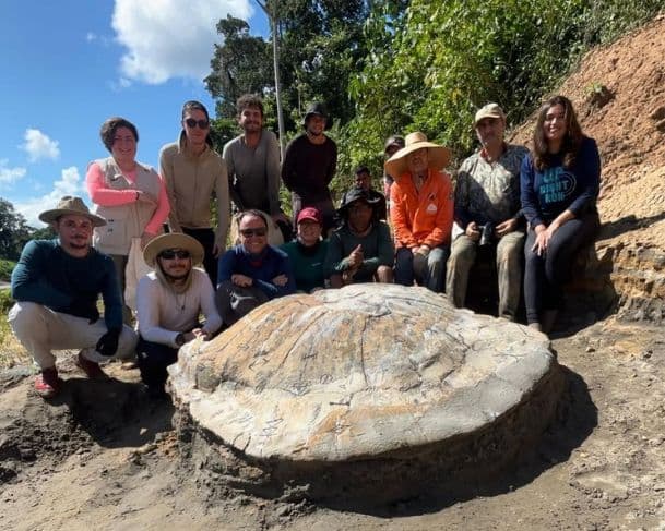 Pesquisadores encontram fóssil de tartaruga gigante no Acre; animal viveu há 13 milhões de anos