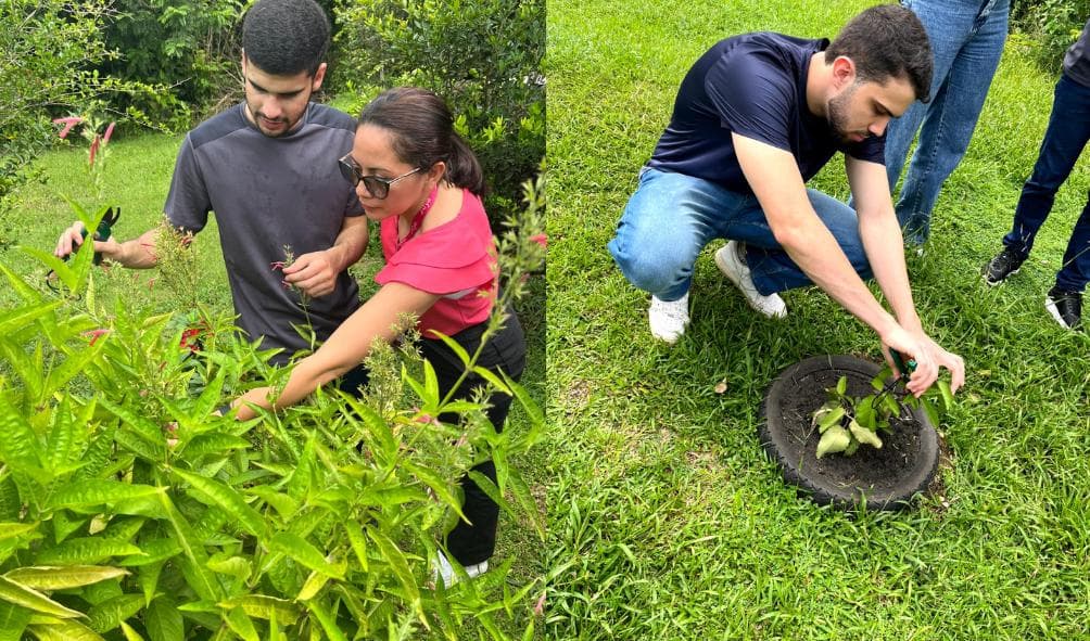 Acadêmicos de Medicina investigam potencial terapêutico de plantas amazônicas