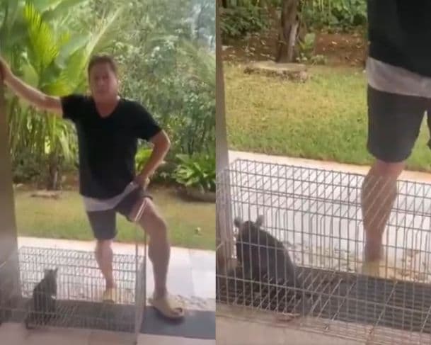 Leonardo “oferece” gambá como se fosse um cachorro e diverte seguidores