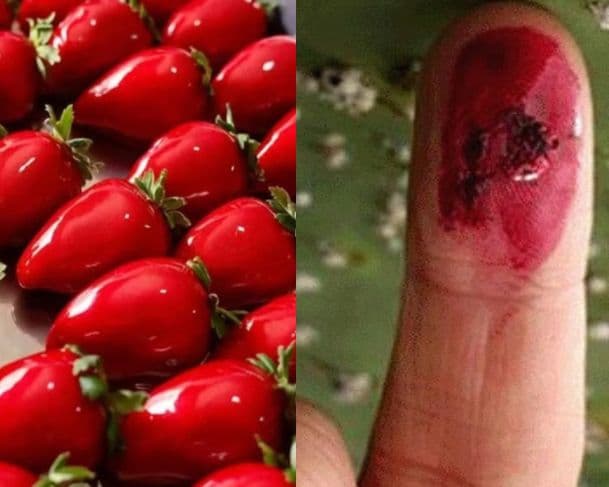 Polêmica com Morango do Amor: perfil no Instagram afirma que insetos são usados no preparo do doce