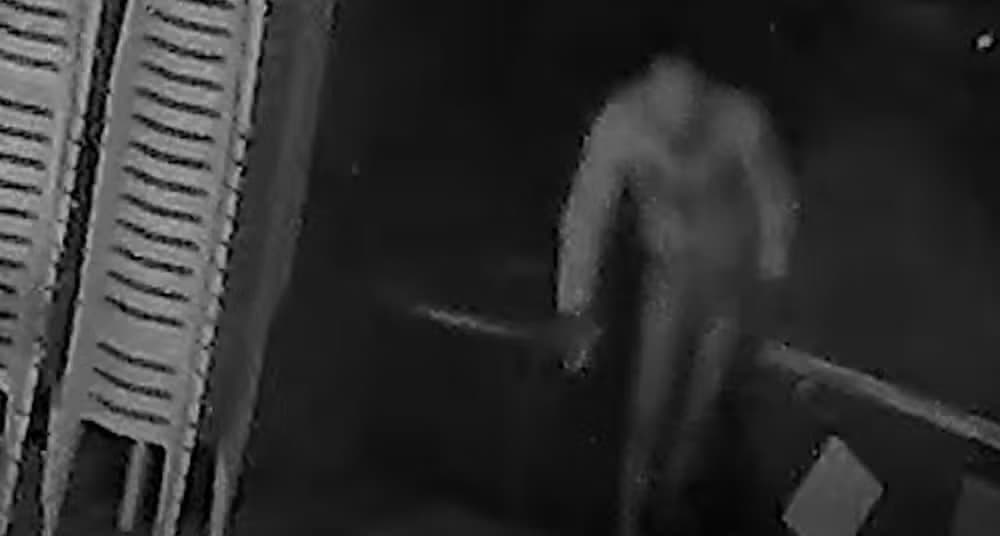 VÍDEO: Ladrão usando calcinha é filmado furtando bebidas em bar