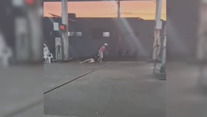 VÍDEO: Mulher é puxada pelos cabelos pelo próprio companheiro em posto de gasolina de São Paulo