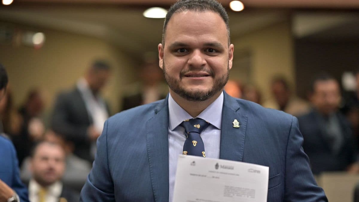 Vereador de Manaus propõe instituir o Dia Municipal do Gato para fortalecer combate a maus-tratos