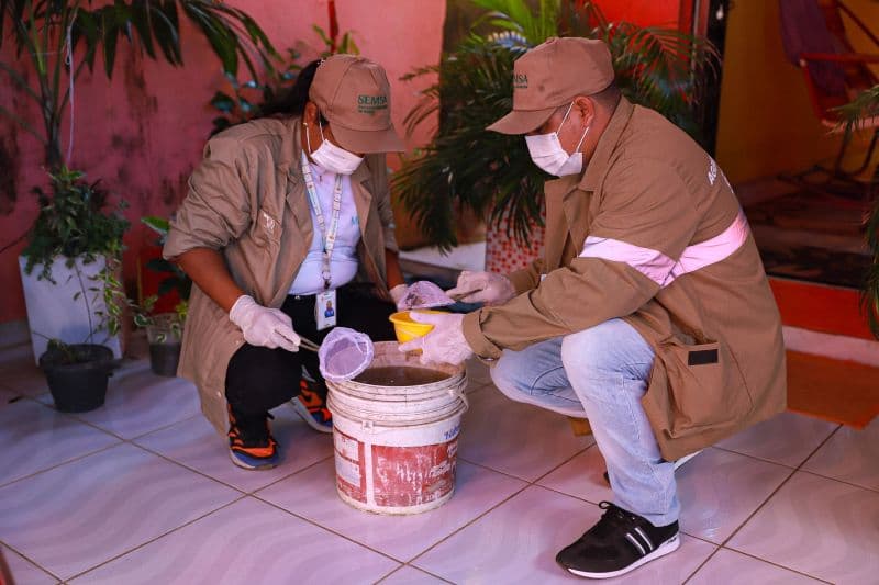 Distrito Industrial e Redenção têm alto risco para doenças transmitidas pelo Aedes aegypti