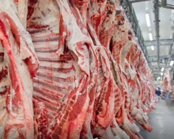 Brasil bate recorde de exportação de carne bovina antes de tarifa dos EUA entrar em vigor