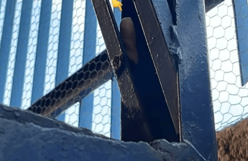 Alunos encontram dedo humano em escola de Manaus; veja vídeo