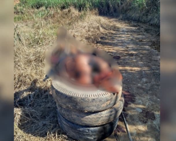 Ex-presidiário é encontrado morto dentro de pneus e carbonizado em Pernambuco