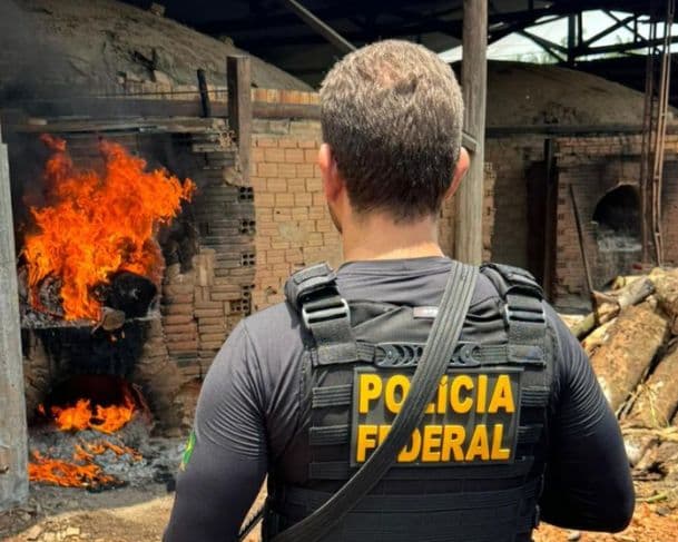 Polícia incinera 240 quilos de drogas apreendidas em operações no interior do AM