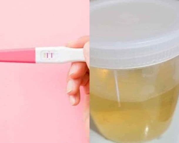 Veja os produtos e serviços mais estranhos encontrados no marketplace