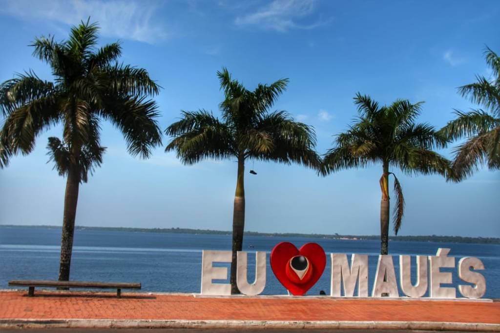 Maués avança para se tornar a capital nacional do guaraná