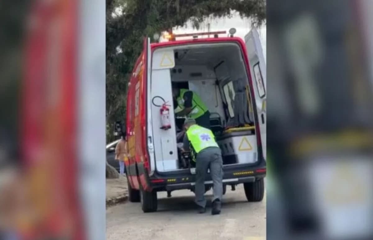 ATAQUE SELVAGEM! Cachorro invade escola e morde duas alunas em Santa Catarina
