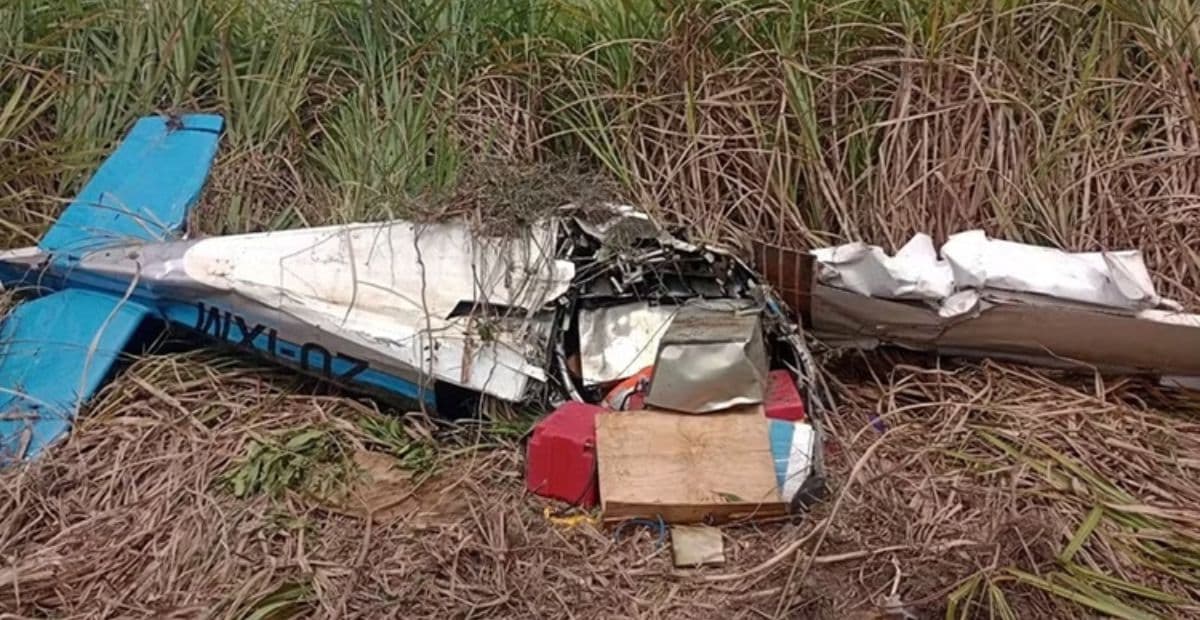 Avião monomotor cai com 180 kg de cocaína e piloto morre em Alagoas