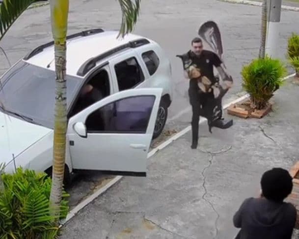 Vídeo: Homem salva cão de ataque de pitbull