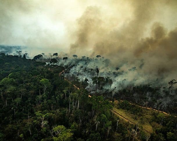 ALERTA: Planeta pode estar mais próximo de um colapso ambiental, diz pesquisa