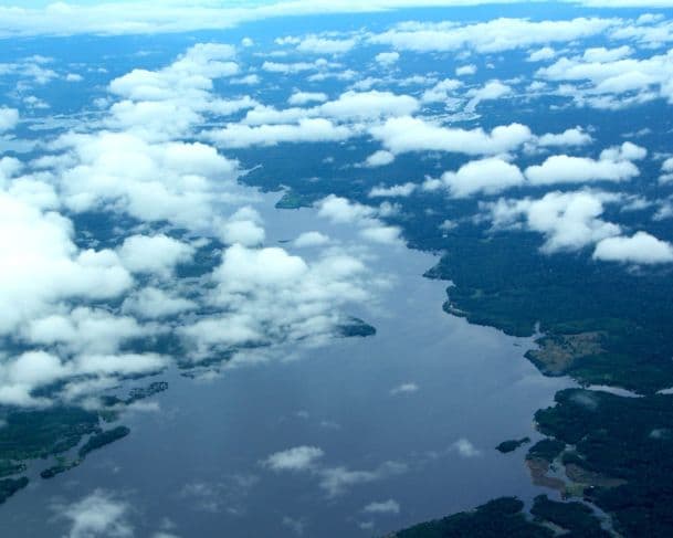 Amazonas registra menor número de queimadas em agosto de 2025