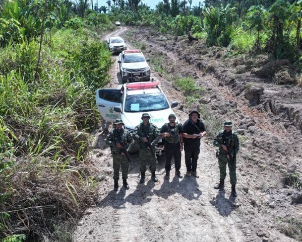 Combate ao desmatamento: Ipaam aplica mais de R$ 30 milhões em multas em três municípios do AM
