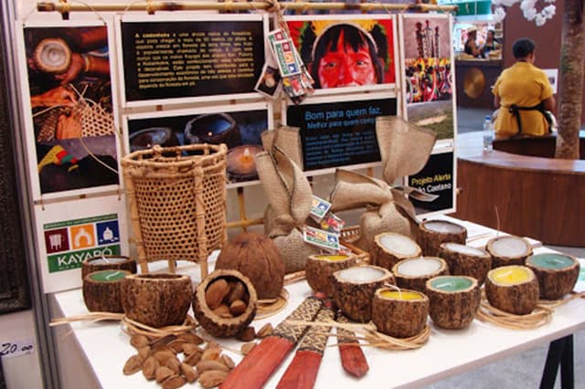 Adjuto Afonso propõe estratégia em ‘Polos Sustentáveis da Sociobiodiversidade’ para fortalecer bioeconomia do AM