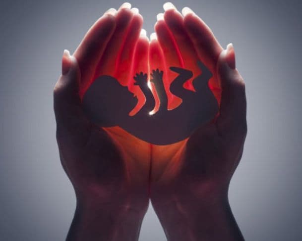 Senado aprova projeto que proíbe realização de aborto legal após a 22ª semana de gravidez